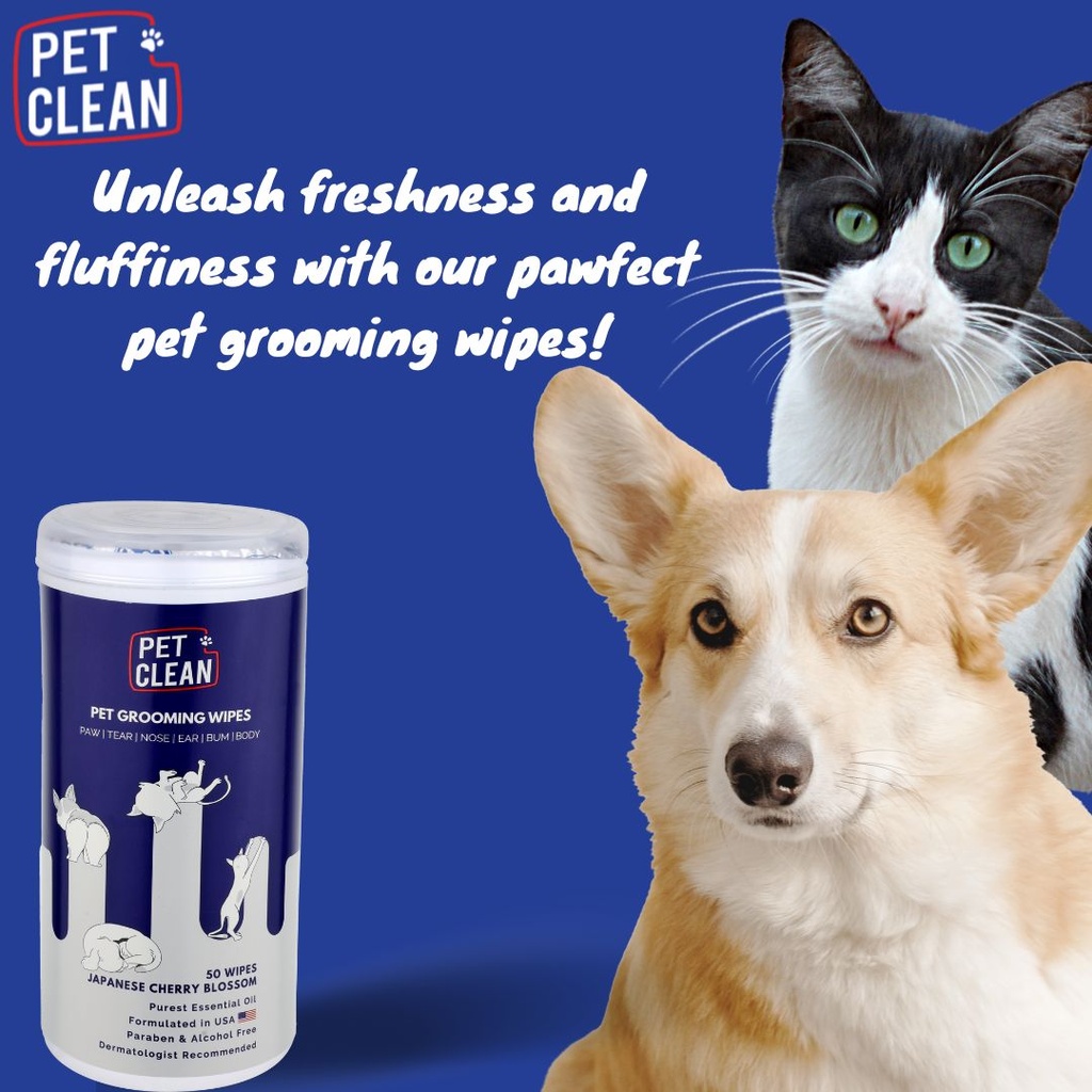 Lemmikin hoitopyyhe 50kpl