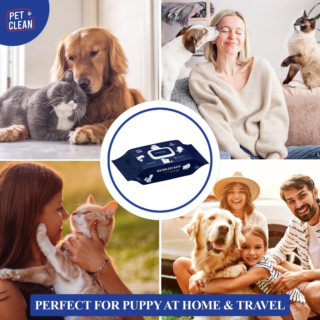 Lemmikin puhdistuspyyhe 100kpl