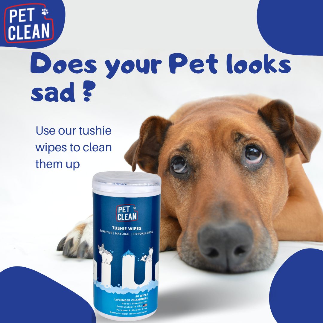 Pet Clean Tushie wipes 50 wipes