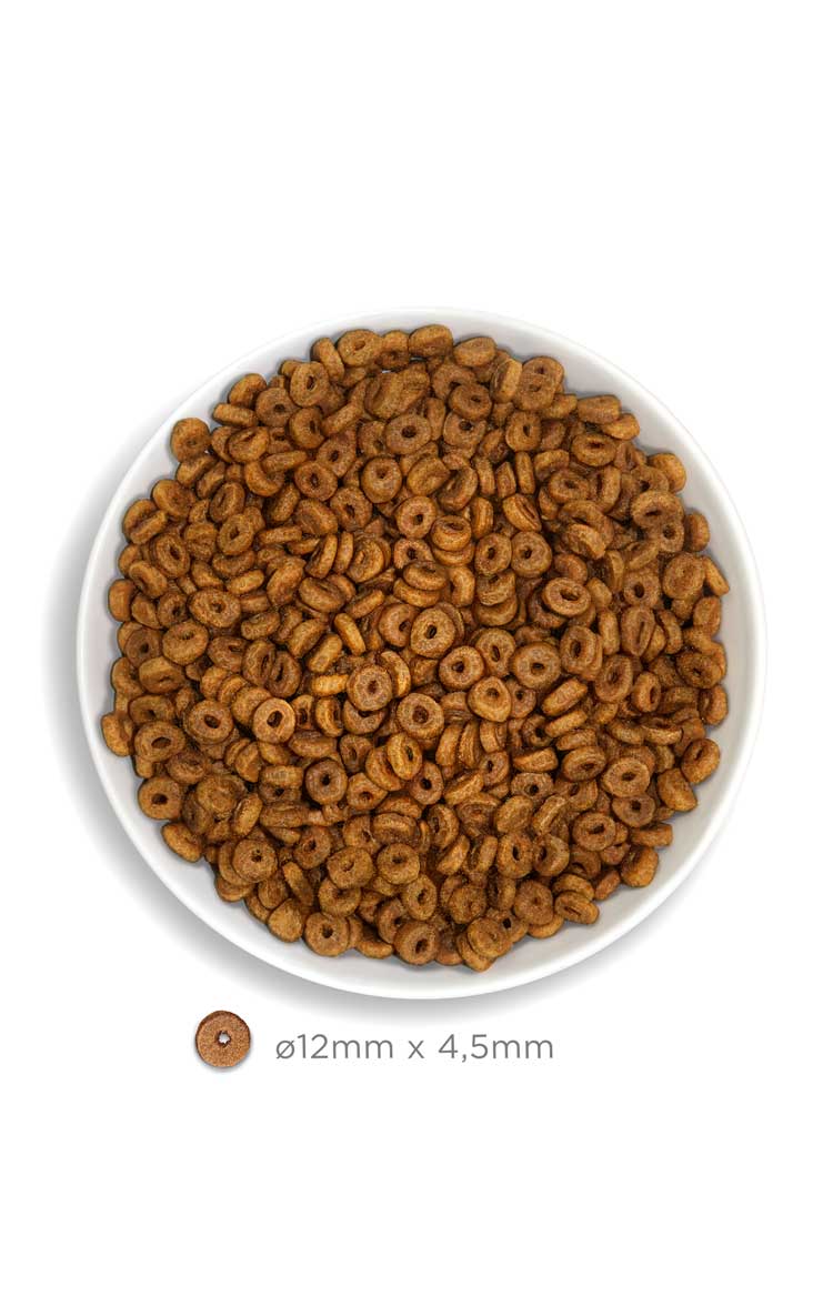 Amanova cat adult Salmon & quinoa low grain 1,5 kg