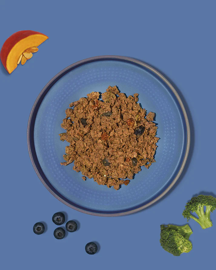 Amanova Delicious lammas & kurpitsa aikuisille koirille 300 g pouch