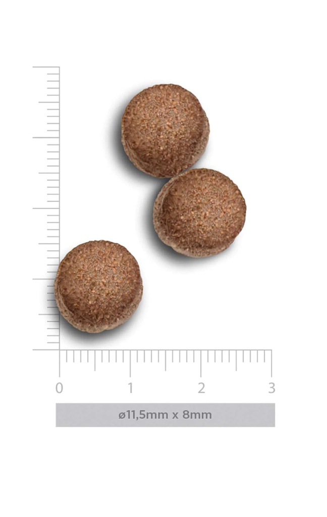 Amanova Large kana & kvinoa aikuisille isoille koirille 12 kg