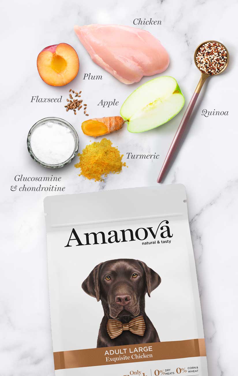 Amanova dog adult large Exquisite Chicken & Quinoa 12 kg