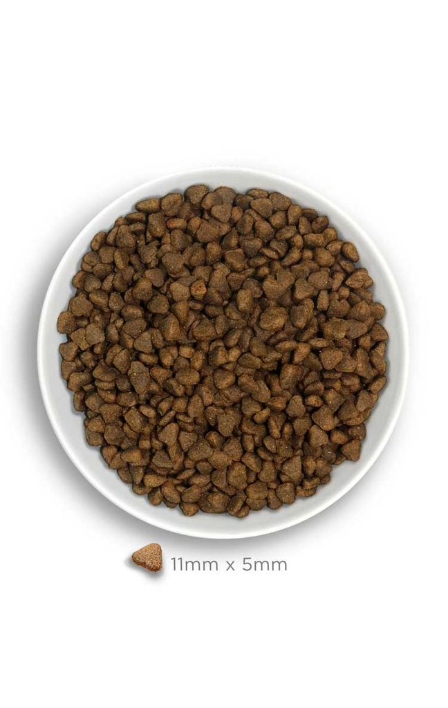 Amanova Digestive Mini kani & kurpitsa pienille aikuisille koirille 2 kg