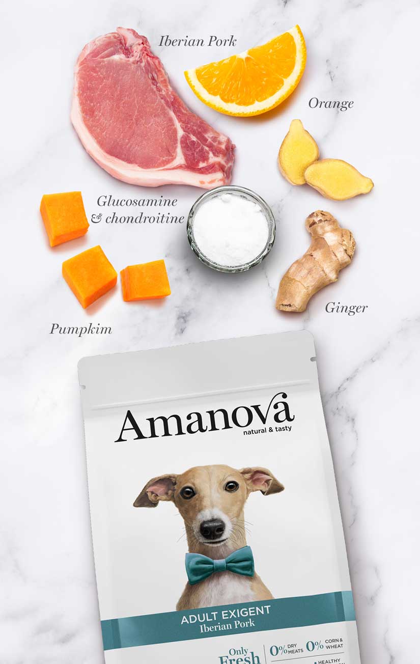 Amanova dog adult Exigent Iberian pork & pumpkin 2 kg
