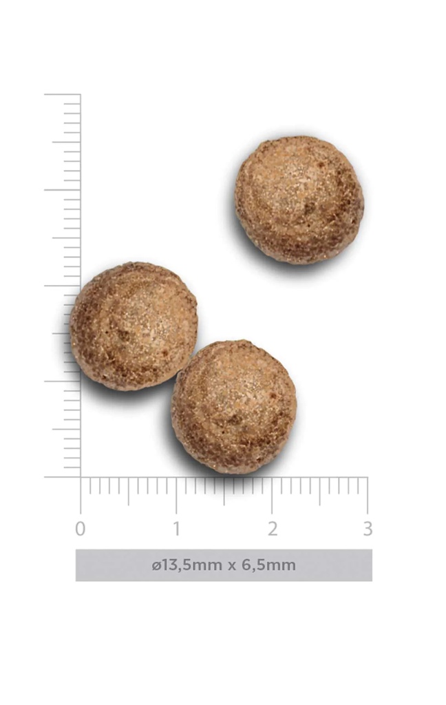 Amanova Medium kana & kvinoa aikuisille keskikokoisille koirille 12 kg