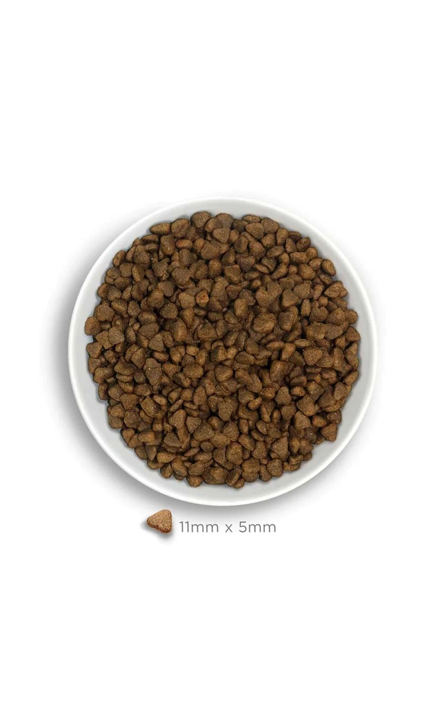 Amanova Mini Obesity kalkkuna pienille ylipainoisille koirille 7 kg