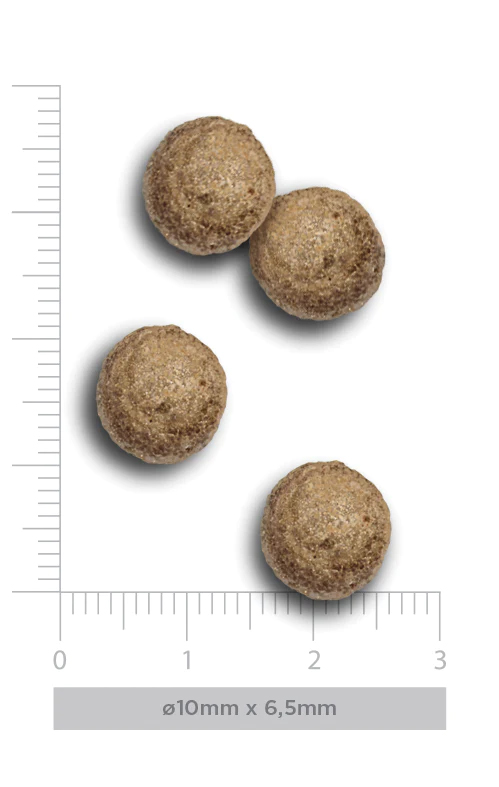 Amanova Mini Obesity kalkkuna pienille ylipainoisille koirille 7 kg