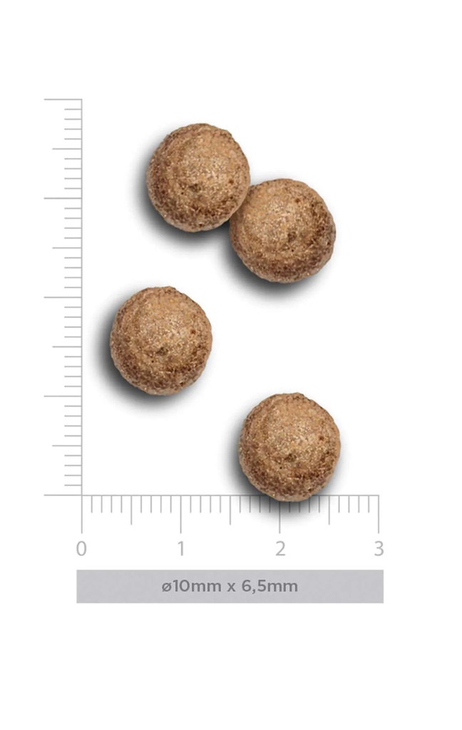 Amanova Mini kana & kvinoa aikuisille pienille koirille 2 kg