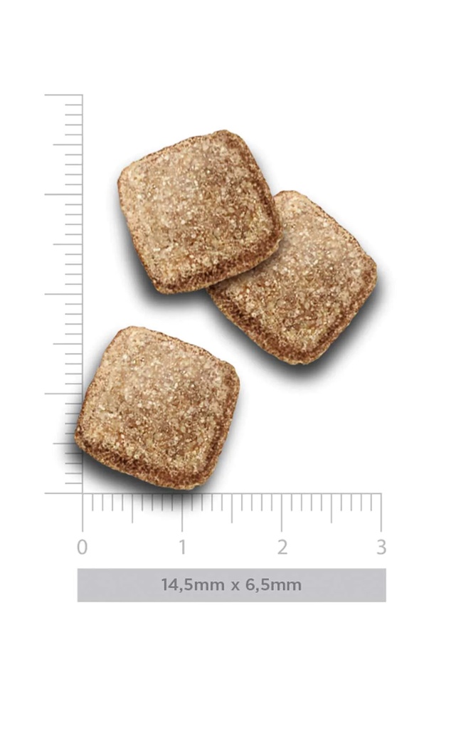 Amanova Obesity kalkkuna & kvinoa ylipainoisille koirille 10 kg