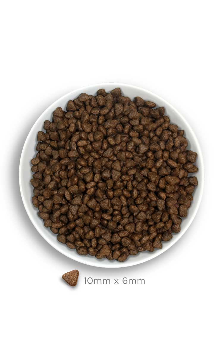 Amanova dog puppy Sensitive lohi & kurpitsa 2 kg