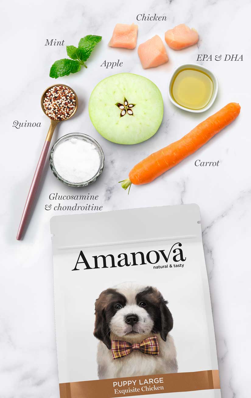 Amanova dog puppy large Exquisite chicken & quinoa 12 kg