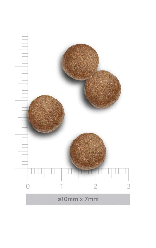 Amanova Puppy kana & kvinoa keskikoisille pennuille 12 kg