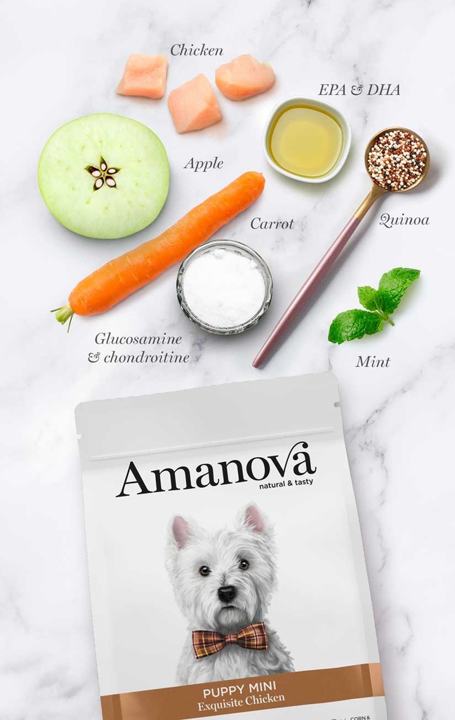 Amanova Puppy kana & kvinoa pienille pennuille 2 kg