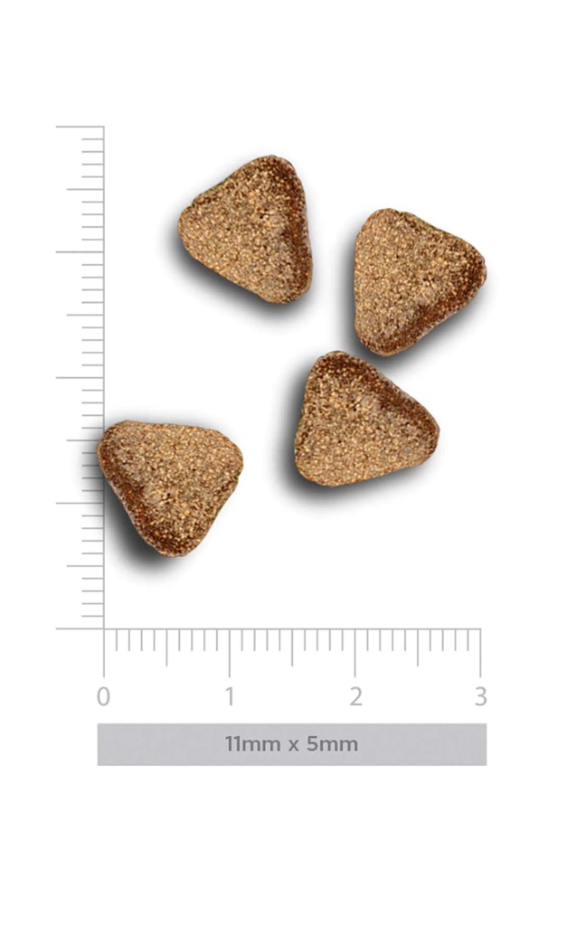 Amanova Sensitive Mini lammas & kurpitsa aikuisille koirille 800 g