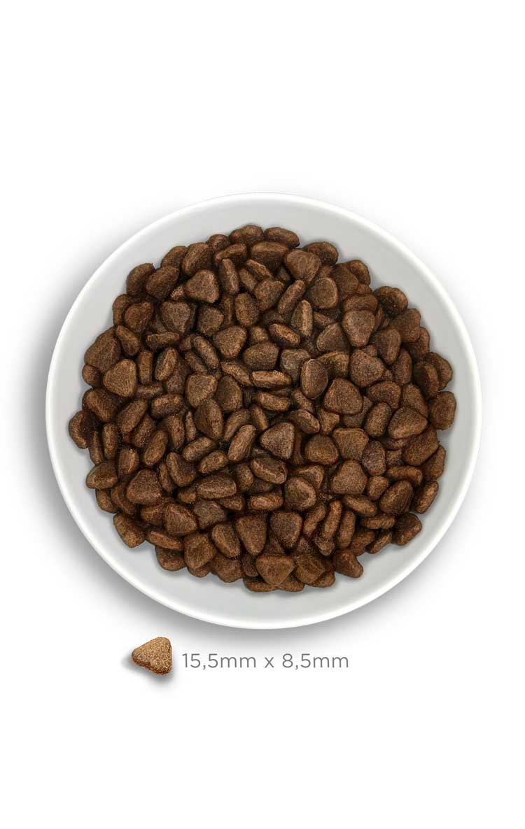 Amanova dog adult Sensitive lammas & kurpitsa 10 kg