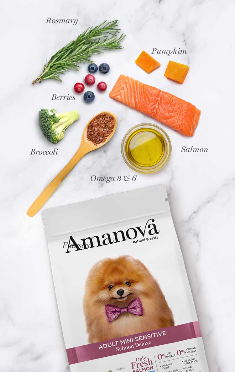 Amanova dog adult mini Sensitive salmon & pumpkin 2 kg