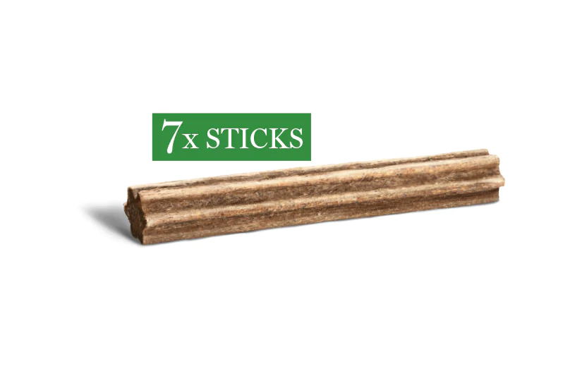 Amanova Dental puruherkku medium & large (vegaaninen)