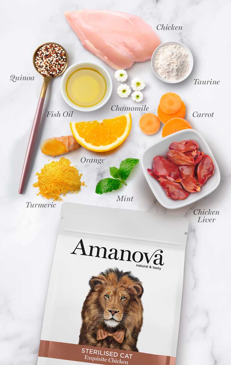 Amanova cat adult Sterilised Exquisite Chicken & quinoa low grain 6 kg