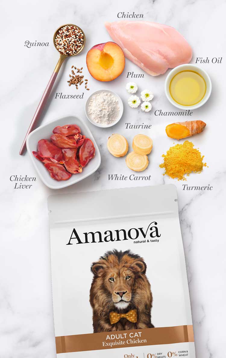 Amanova cat adult Chicken & quinoa low grain 1,5 kg
