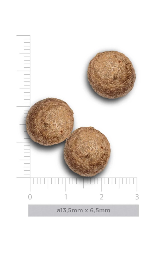 Amanova Adult kana & kvinoa aikuisille kissoille low grain 6 kg