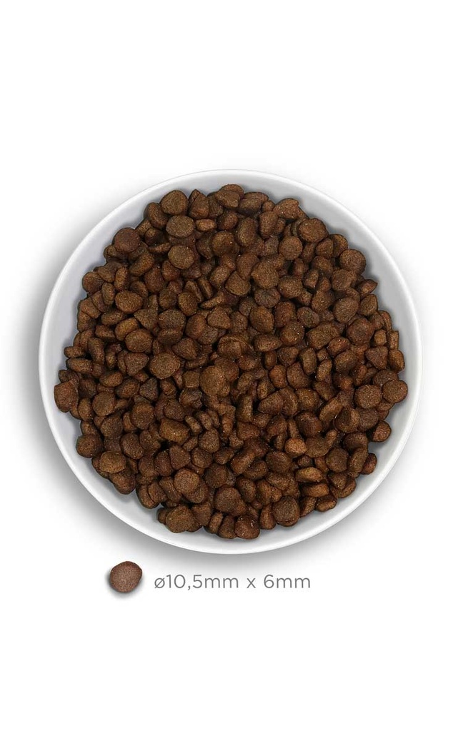 Amanova Adult lammas & kurpitsa aikuisille kissoille viljaton 1,5 kg