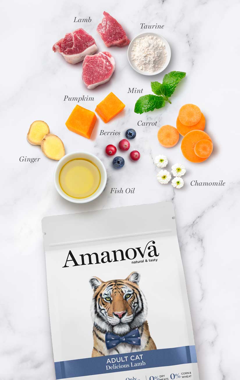 Amanova cat adult Lammas & kurpitsa viljaton 1,5 kg