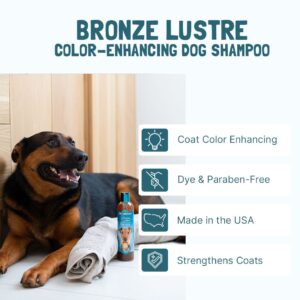 Bio-Groom Bronze Lustre™ shampoo gallona (3,8 l)
