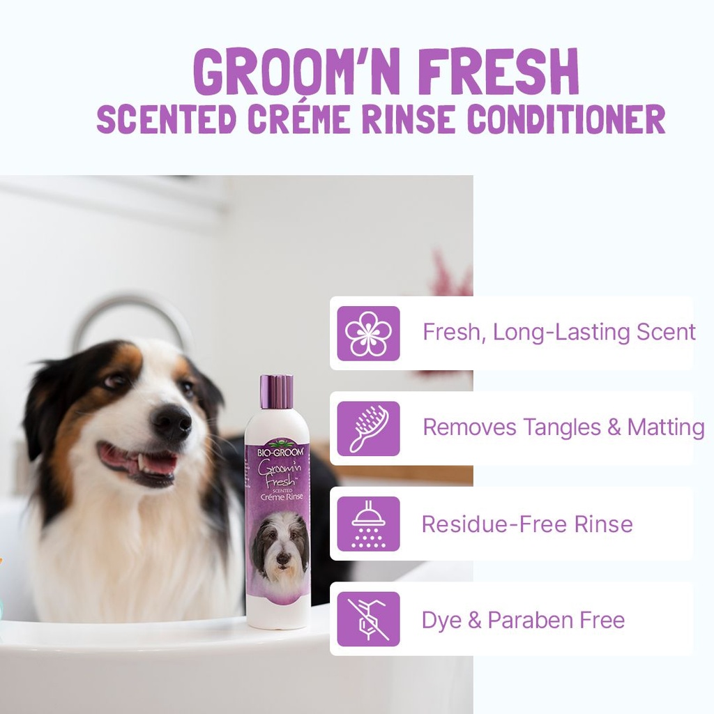 Bio-Groom Groom’n Fresh™ hoitoaine 12oz/355ml