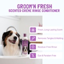 Bio-Groom Groom’n Fresh™ hoitoaine 12oz/355ml