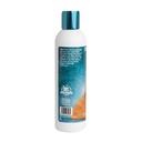 Bio-Groom Kuddly Kitty™ shampoo kissanpennuille 8oz/236ml