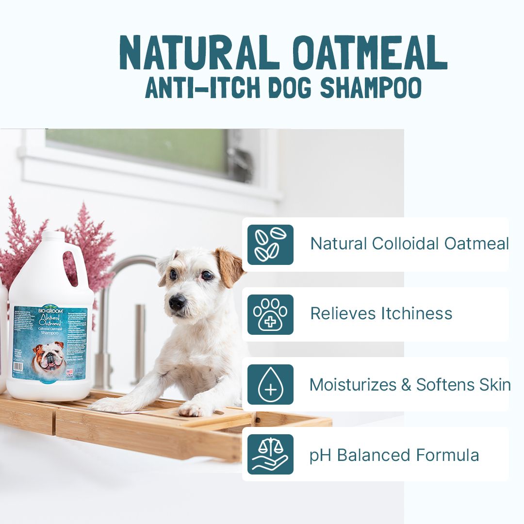 Bio-Groom Natural Oatmeal Anti-Itch shampoo gallona (3,8 l)