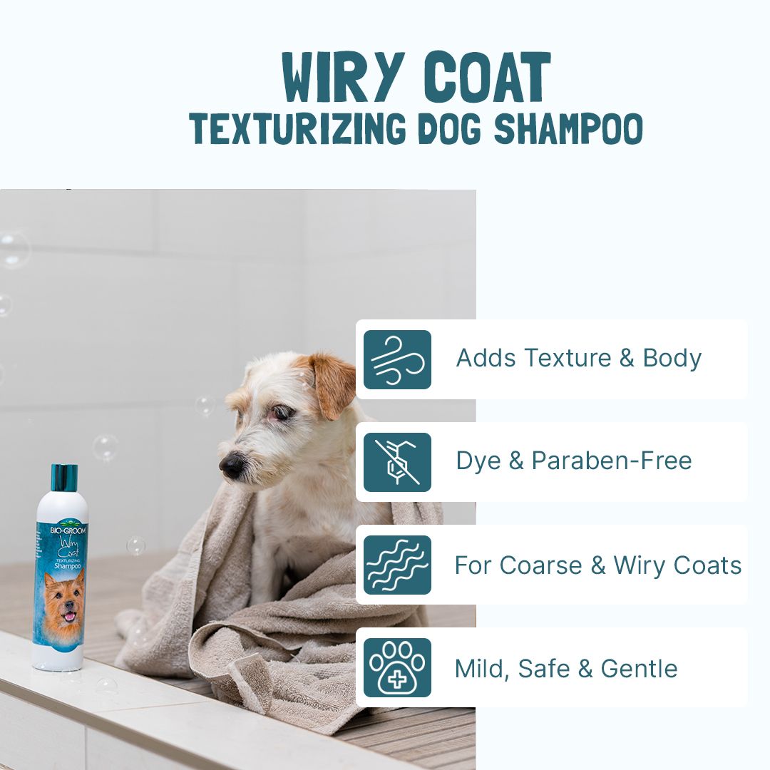 Bio-Groom Wiry Coat shampoo gallona (3,8l)