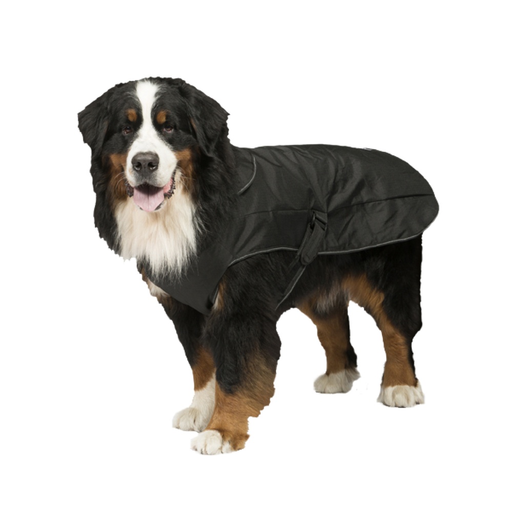 Danish Design Koiran takki 2in1 valjas musta , poistuu valikoimasta