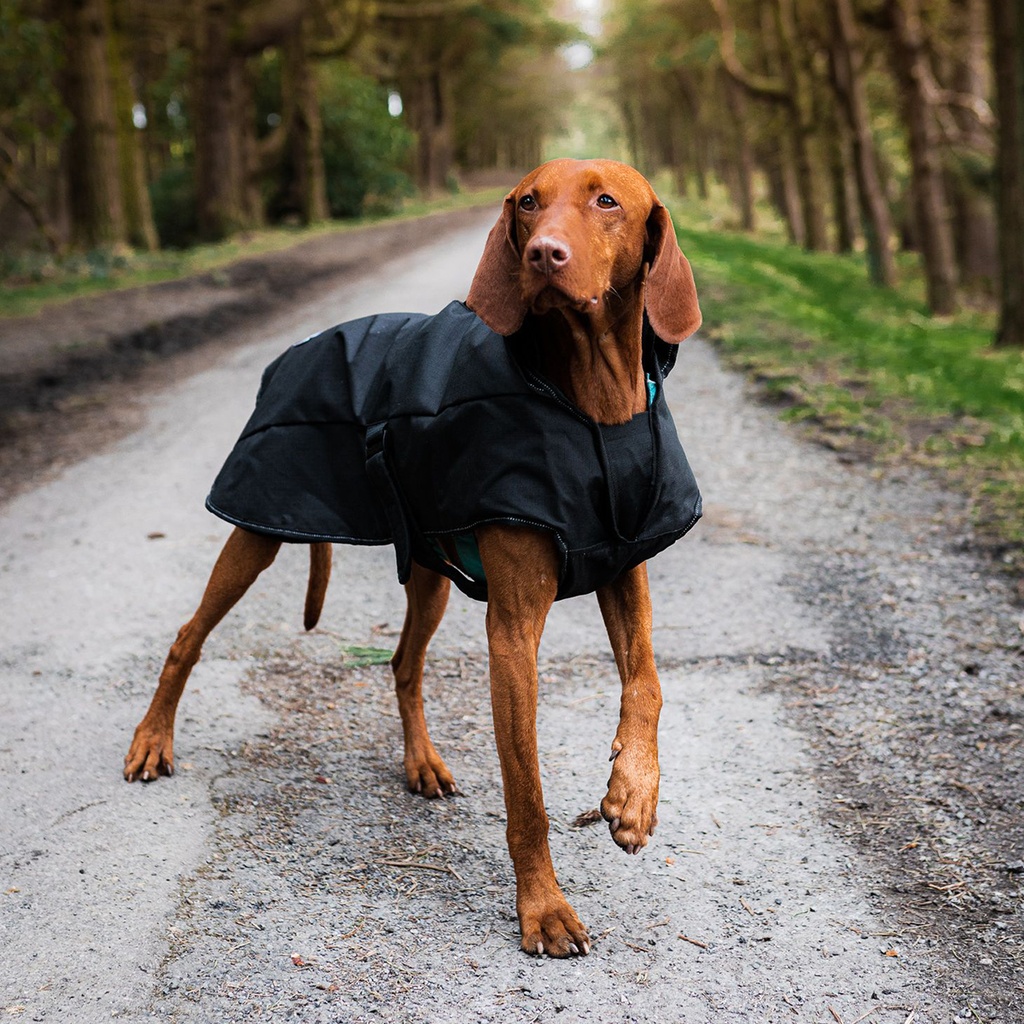 Danish Design Koiran takki 2in1 valjas sininen , poistuu valikoimasta