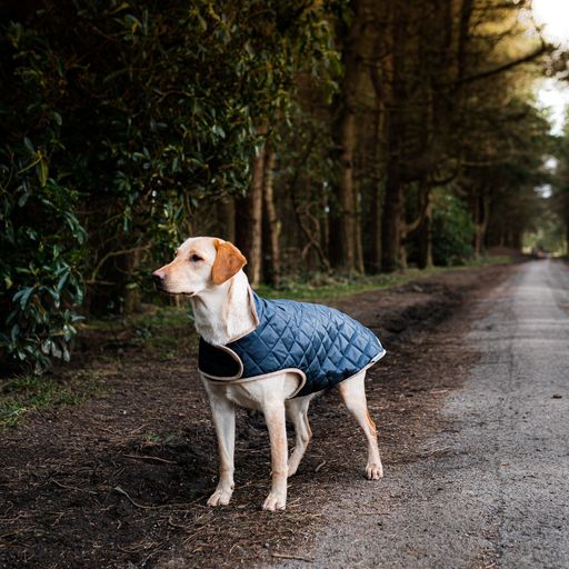 Danish Design Koiran tikkitakki navy , poistuu valikoimasta