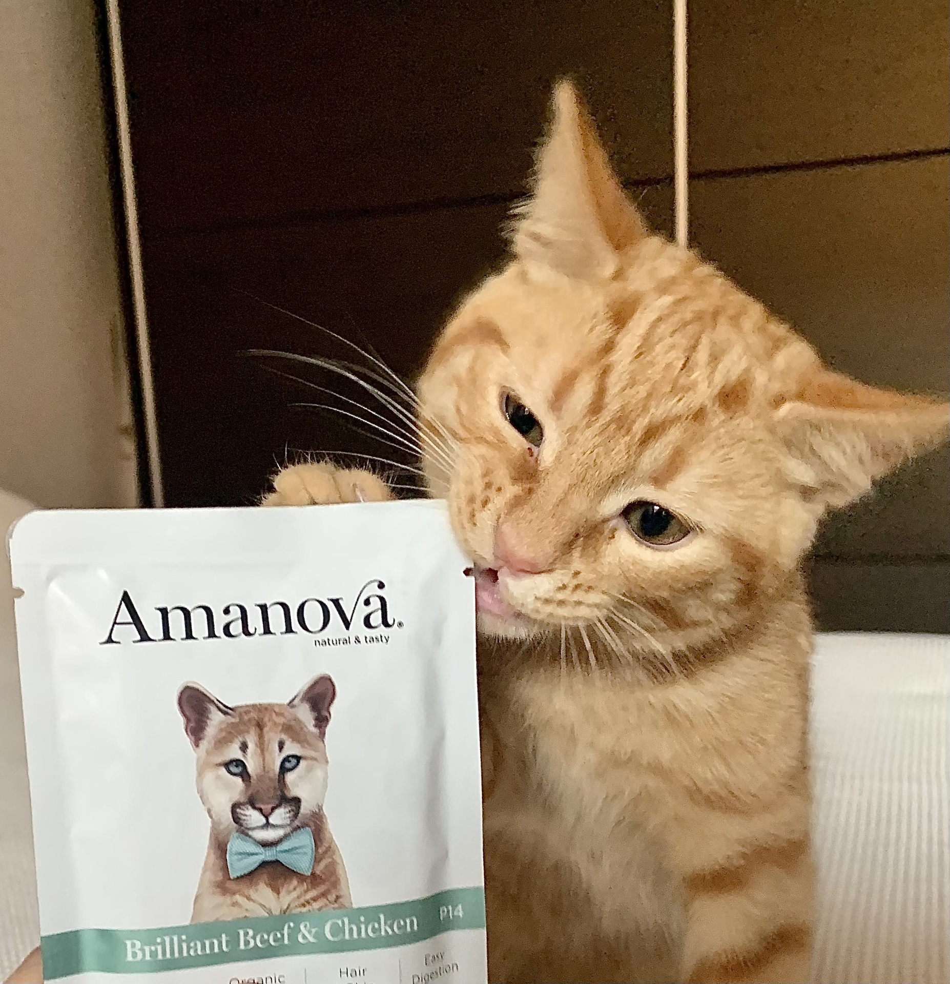 Amanova cat adult Beef & chicken 85 g pouch