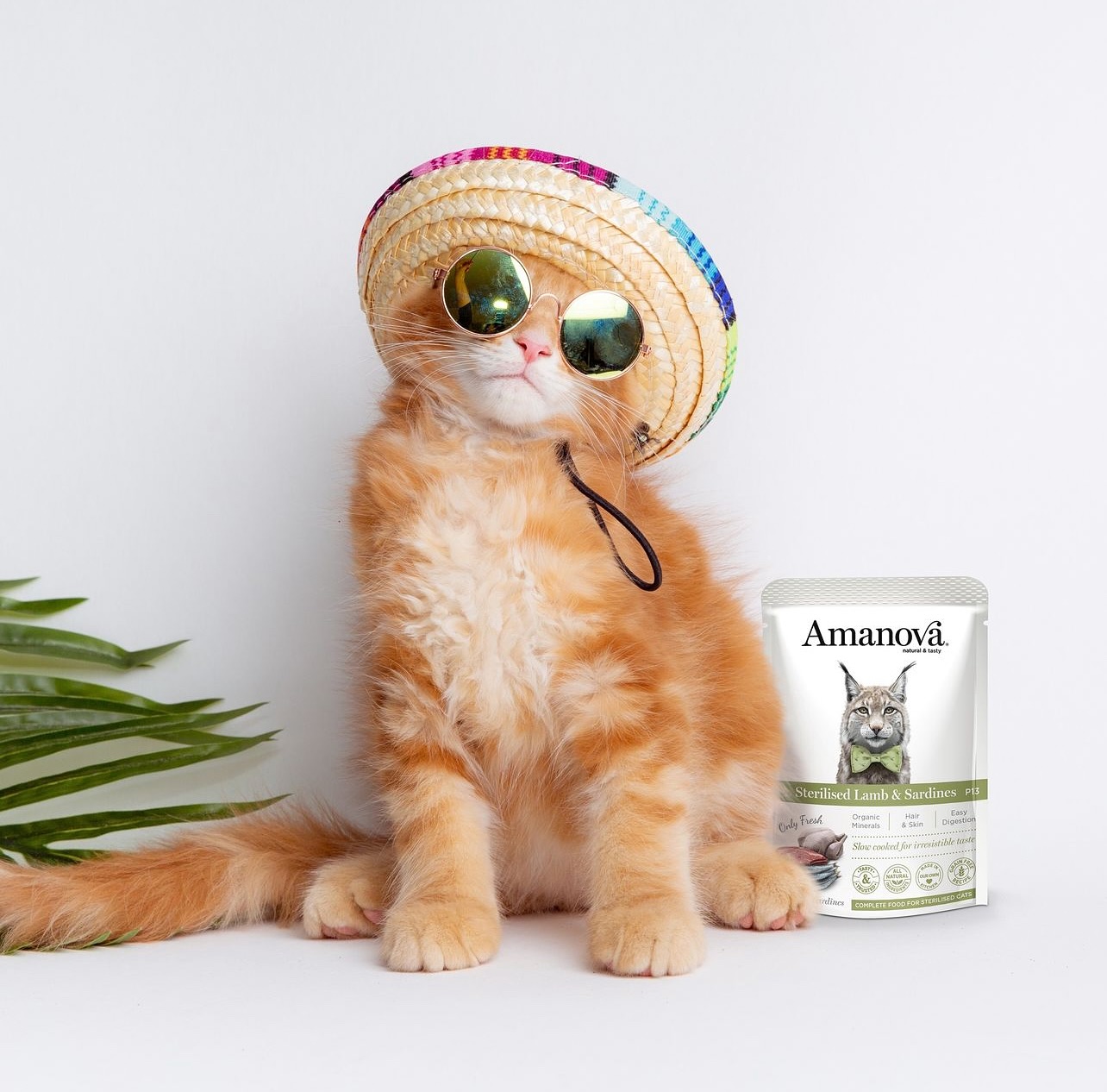 Amanova cat adult Sterilised Lamb & Sardines 85 g pouch
