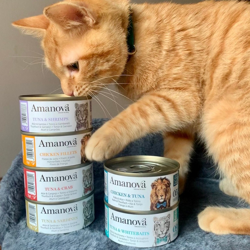 Amanova cat adult 01 Kanafile liemessä 70 g purkki