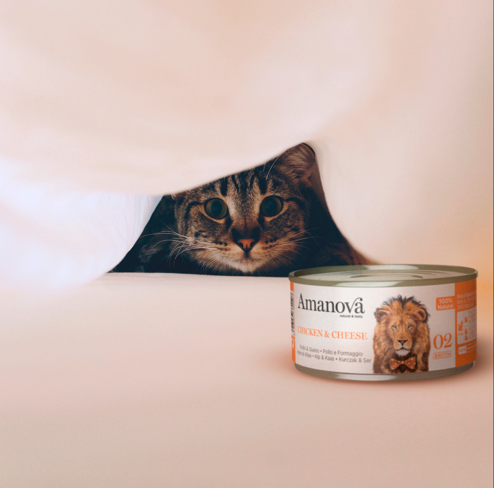 Amanova cat adult 02 chicken & cheese in broth 70 g jar