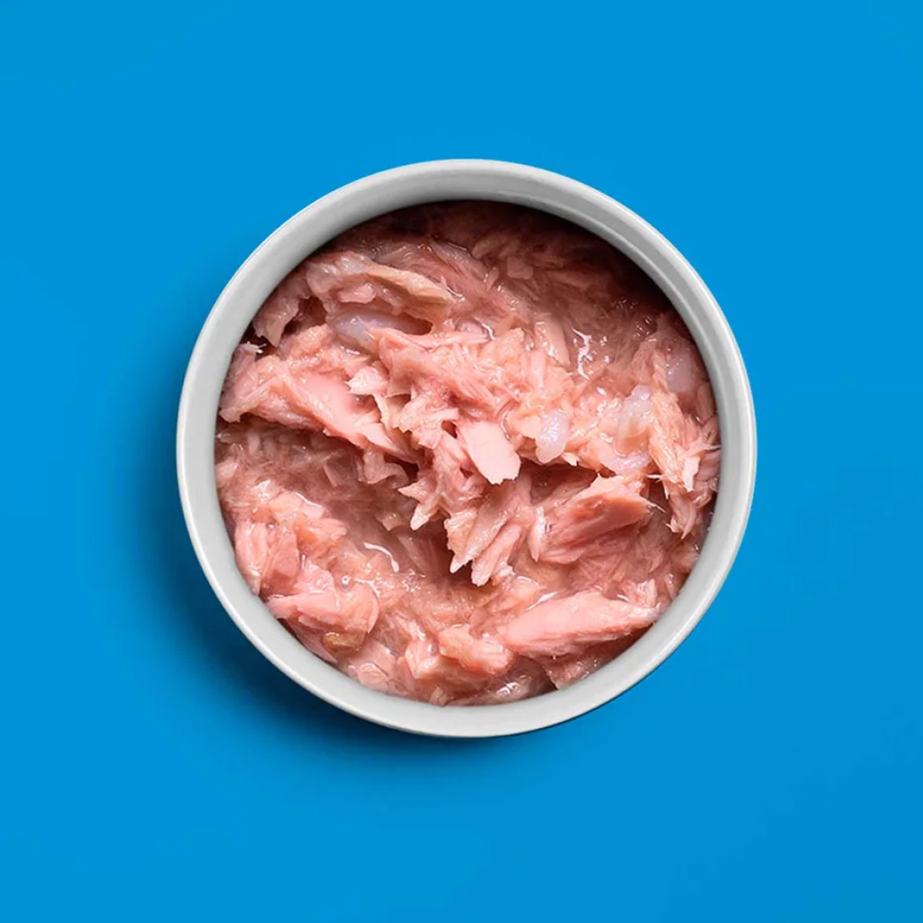 Amanova cat adult 07 Tonnikala file liemessä 70 g purkki