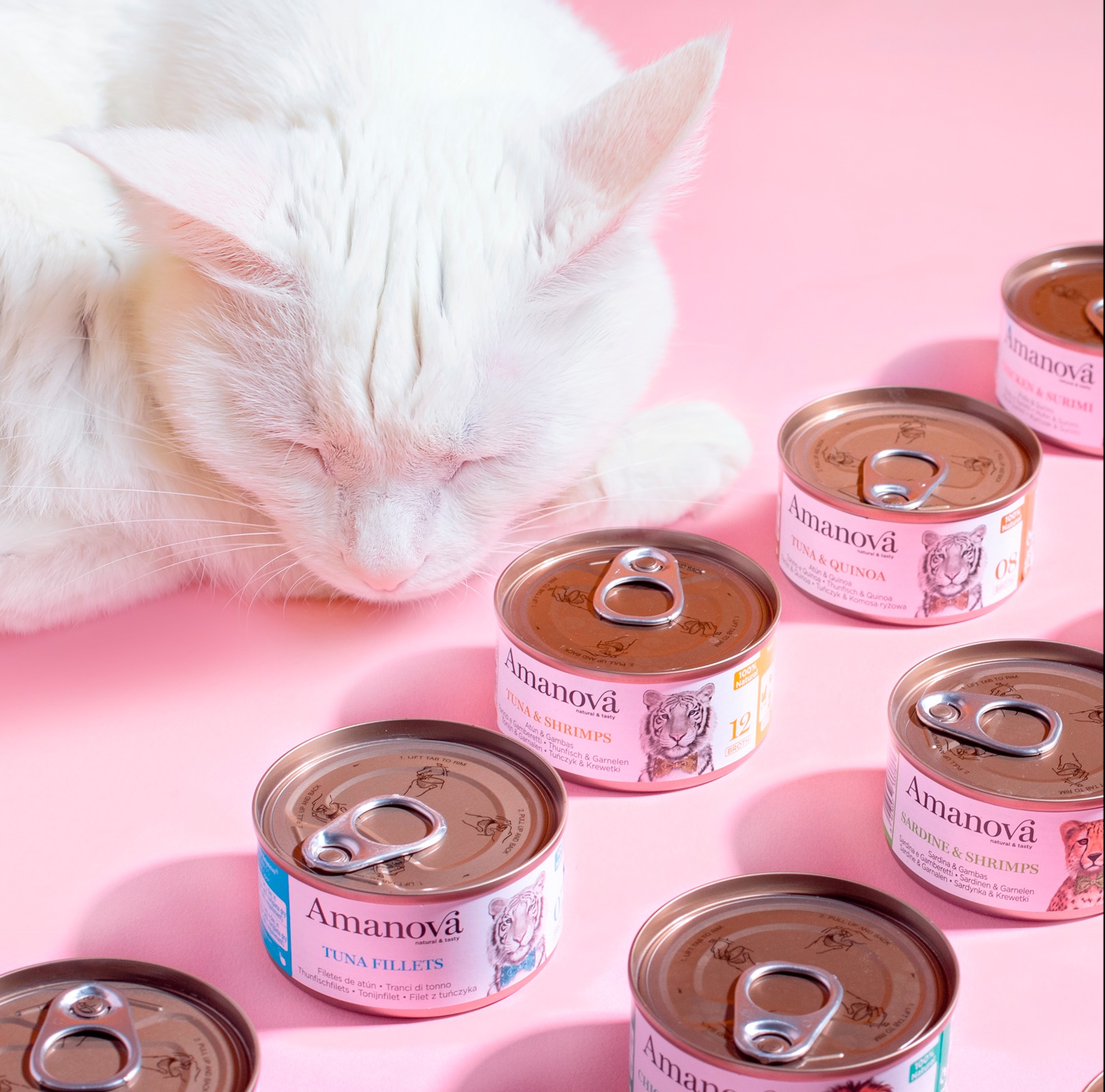 Amanova cat adult 15 sardine & shrimp in jelly 70 g jar