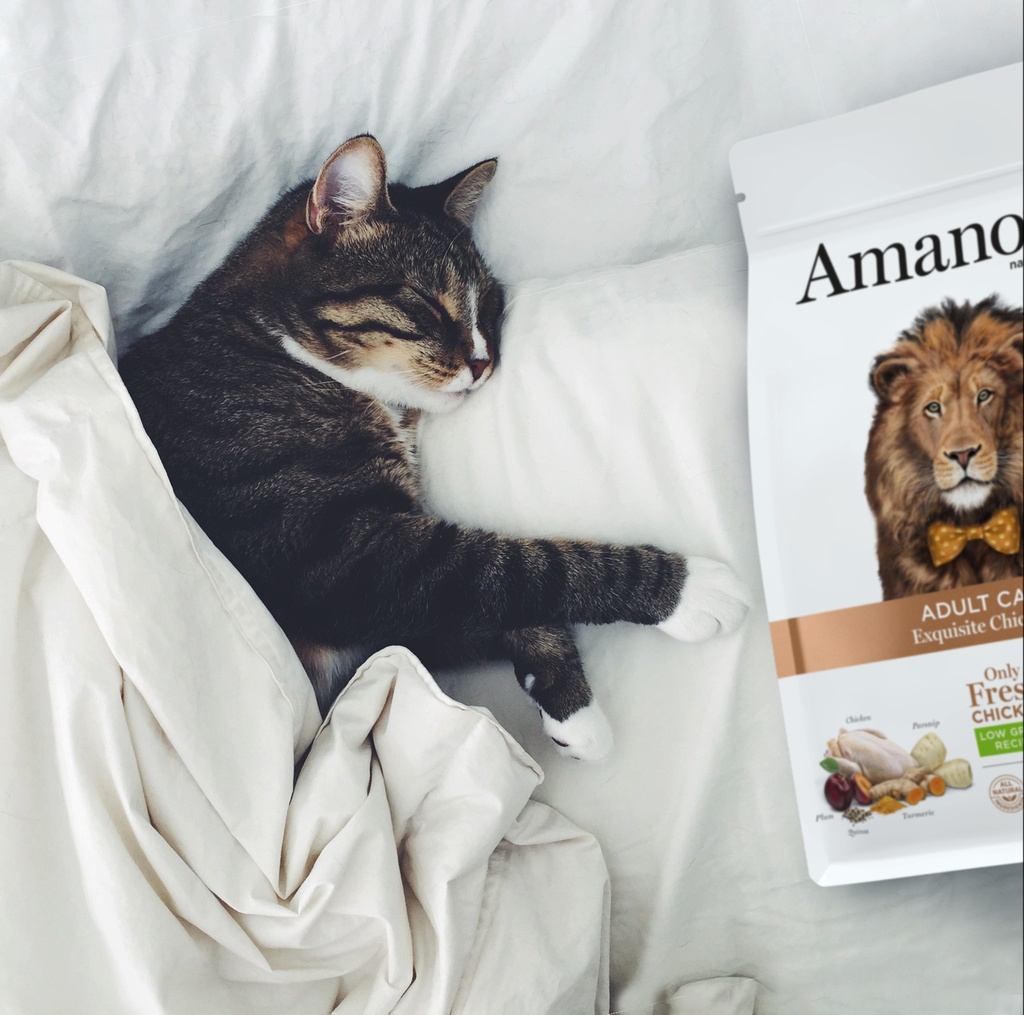 Amanova cat adult Exquisite kana & kvinoa low grain 1,5 kg