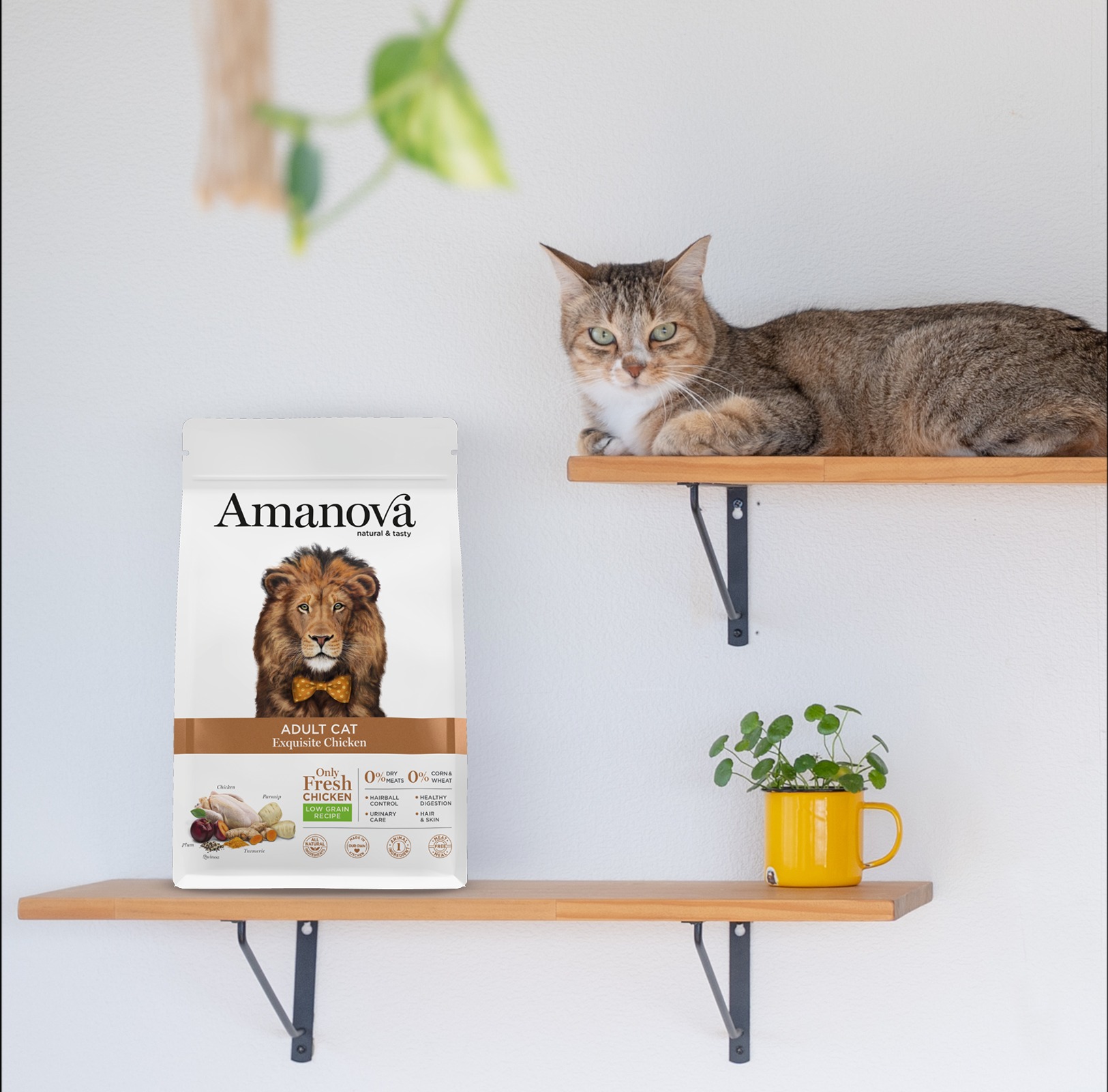 Amanova cat adult Kana & kvinoa low grain 6 kg