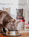 Amanova cat adult Kalkkuna & kurpitsa viljaton 1,5 kg