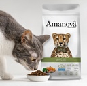 Amanova cat adult Kani & kurpitsa viljaton 1,5 kg