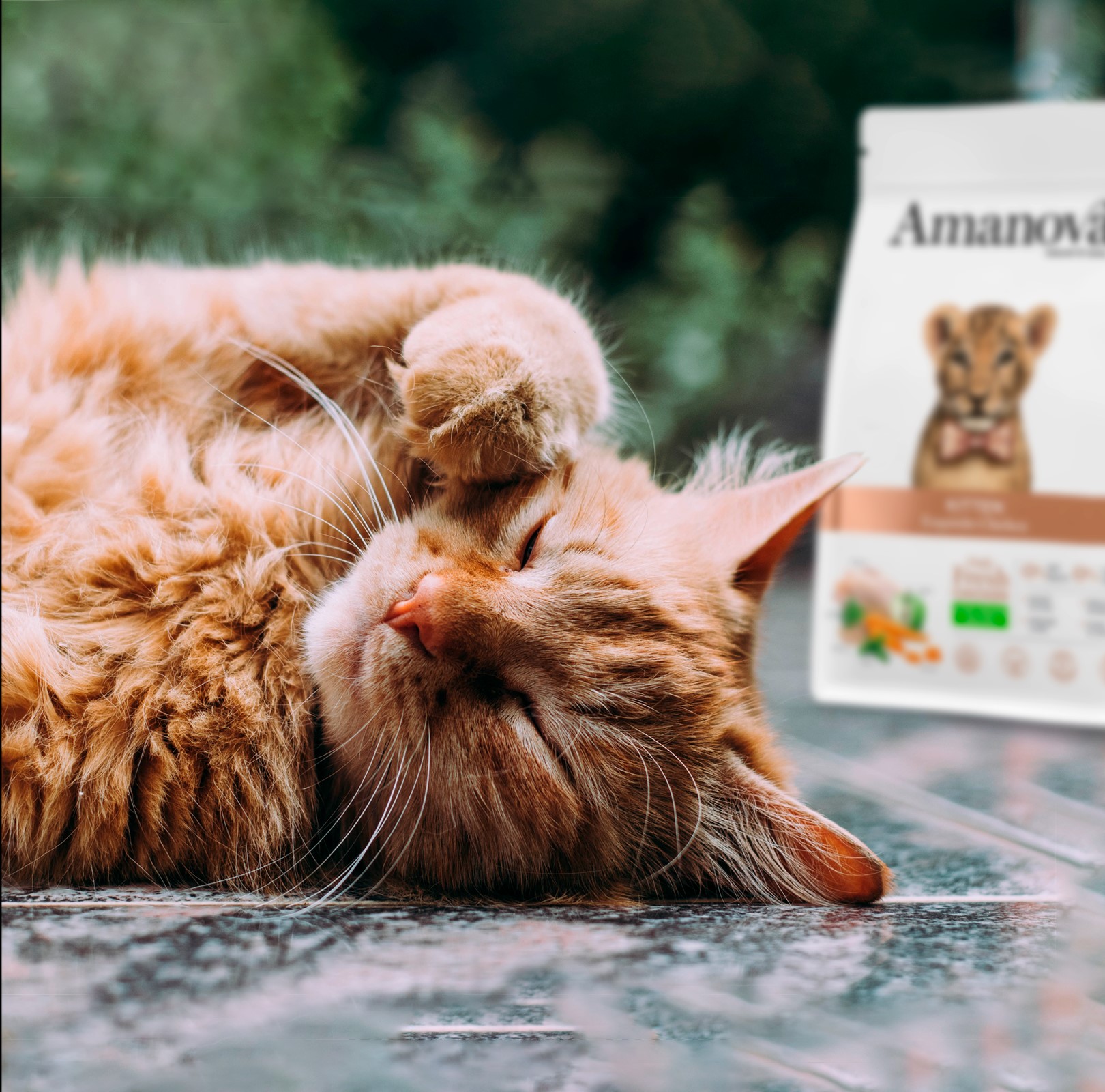 Amanova cat kitten Chicken & quinoa low grain 4 kg