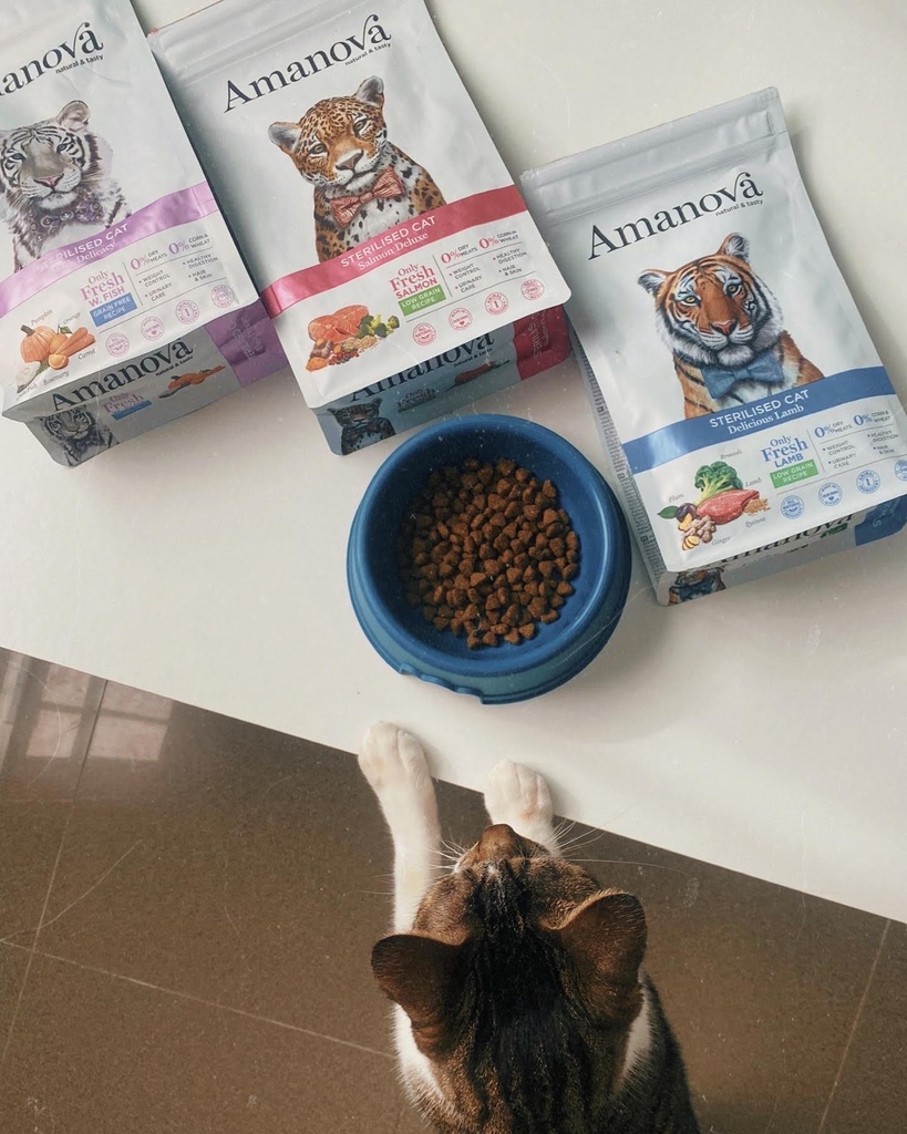 Amanova cat adult Sterilised lohi & kvinoa 6 kg