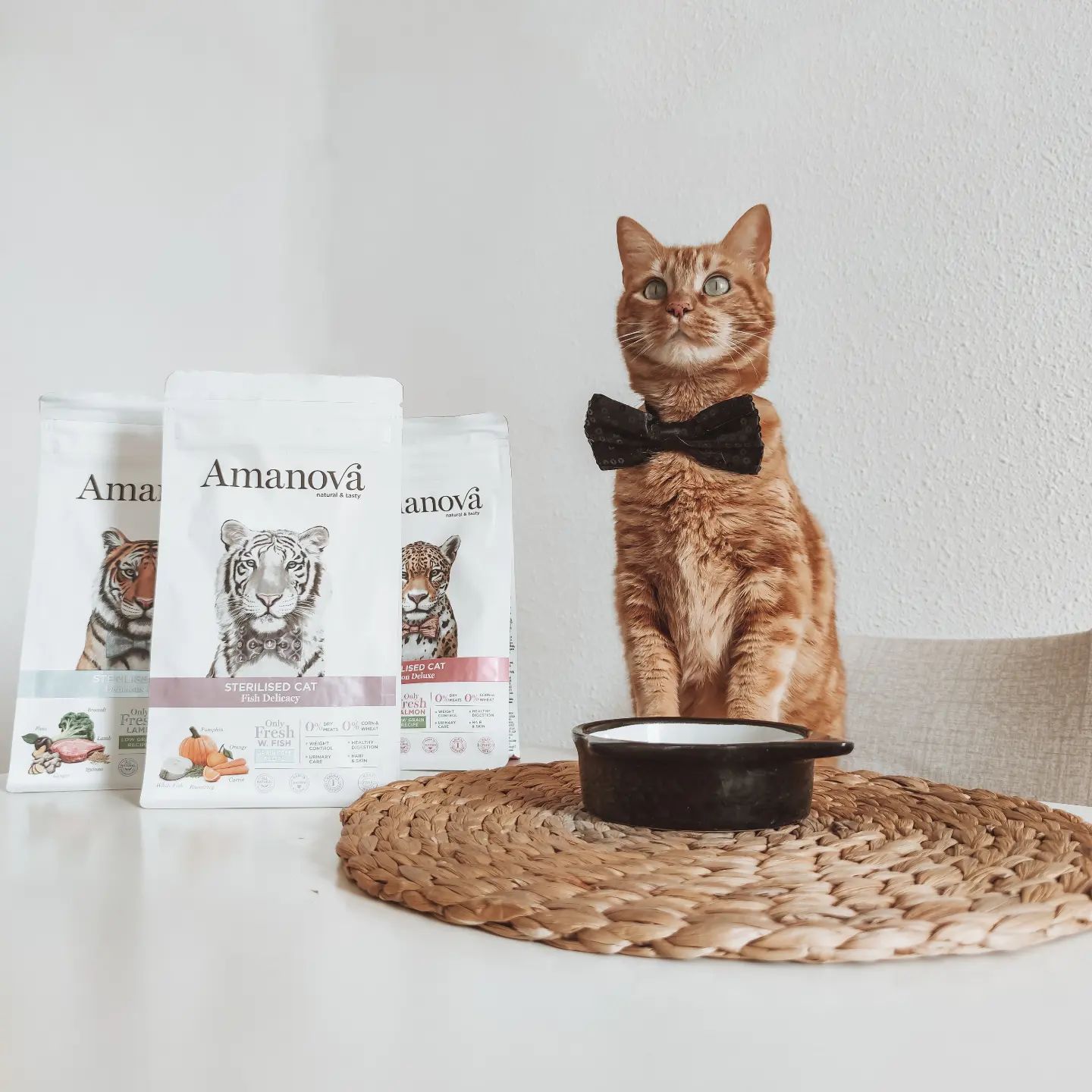 Amanova cat adult Sterilised White Fish & pumpkin grain free 300 g