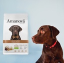 Amanova dog adult large Exquisite kana & kvinoa 12 kg
